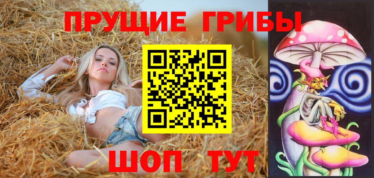 Псилоцибиновые грибы Psilocybine cubensis  Вход с VPN  Среднеуральск 